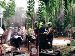 -Fern Forest Cafe