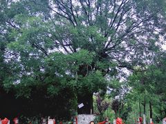 -东台西溪天仙缘景区