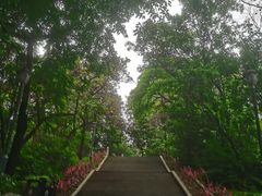 -东莞市虎英郊野公园