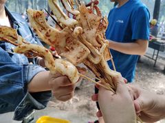 -南宁良凤江国家森林公园