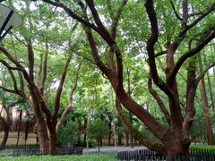 -徐家汇源景区-衡山公园