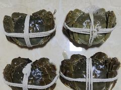 -阳澄湖大闸蟹·琼灵阁牌品牌连锁(吴中总店)