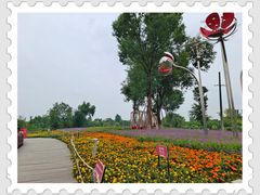 -天府芙蓉园
