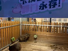 -廊坊固安福朋喜来登酒店