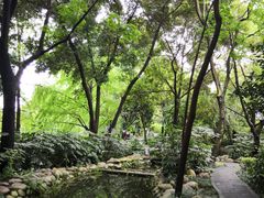-成都市活水公园