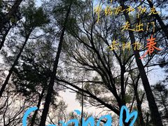 -长春市南湖公园