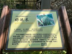 -呀路古热带植物园