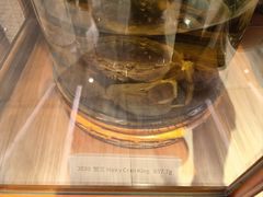 -王宝和酒家(黄浦店)