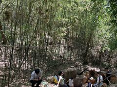 -竹子庵公园