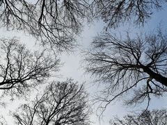 -东湖磨山景区