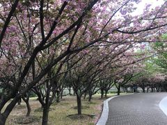 景点-苏州河梦清园环保主题公园