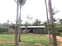 -海南热带野生动植物园