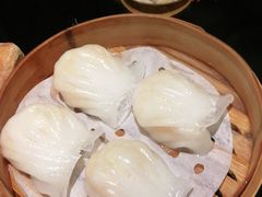 -高第街56号餐厅(银座商城玉函店)