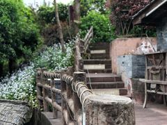 -楠柏弯休闲山庄(梨花溪店)