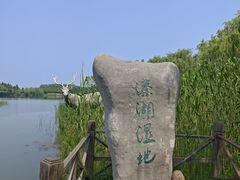 -溱湖国家湿地公园