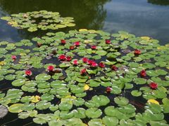 -国家植物园南园