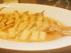 东星斑-甄御•海鲜新青岛菜(麦岛店)