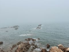 -小麦岛公园