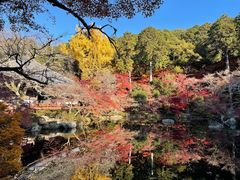 -醍醐寺