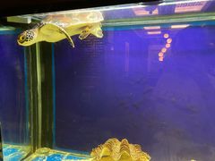 -裕丰源滋补烩面(天赋路店)