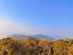 -宝界山林公园