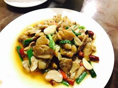 素炒牛肝菌-苍洱春饭店