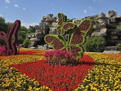 -石家庄市植物园