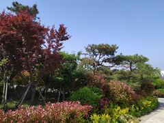 -南大港湿地风景区