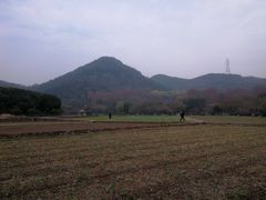 -八卦田遗址公园