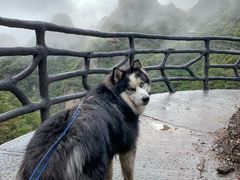 -十渡东湖港风景区