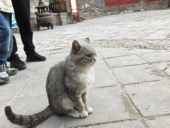 -玉泉观
