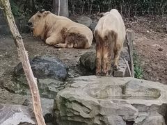 -宁波野生动物园