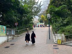 -九龙公园