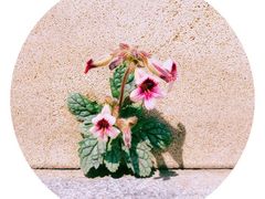 -海南航空营运基地