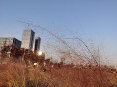 -映月湖中央公园