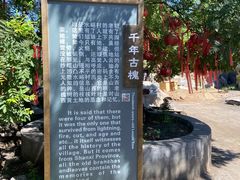 -水峪民俗村