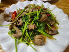 香菜拌猪腰-聪辉同安老美食饭店(大元路店)