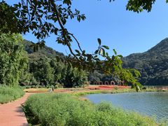 -广州市石门国家森林公园