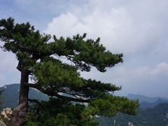 -尧山风景区