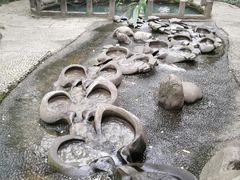 -成都市活水公园
