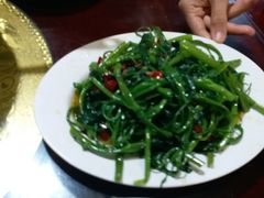 -天一沾水肥肠(科园一街店)