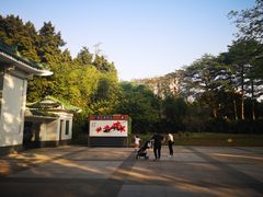 -晓港公园