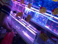 -中环花鸟鱼虫市场