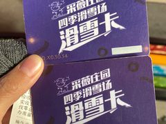 -采薇庄园四季滑雪场