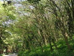 -南京金牛湖风景区