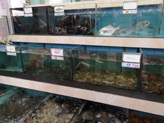 水产区-秋姐美食店(旅游大道店)