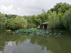 -西院1号(龙井店)