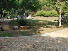 -菊花台公园