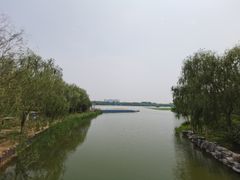 -大兴滨河森林公园