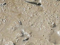 -北海金海湾红树林生态旅游区